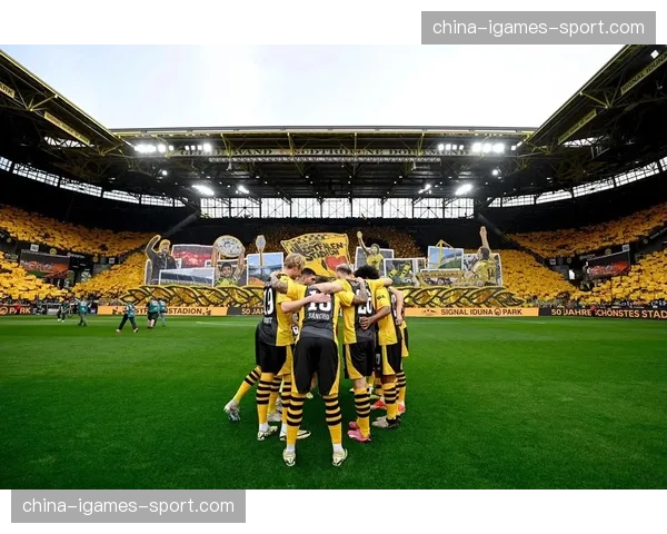 花絮：多特蒙德主场南看台巨型TIFO致敬即将离队的罗伊斯